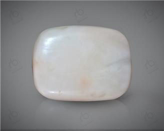 Natural White Coral ( Safed Moonga) Certified  16.09 CTS. ( 91481 )